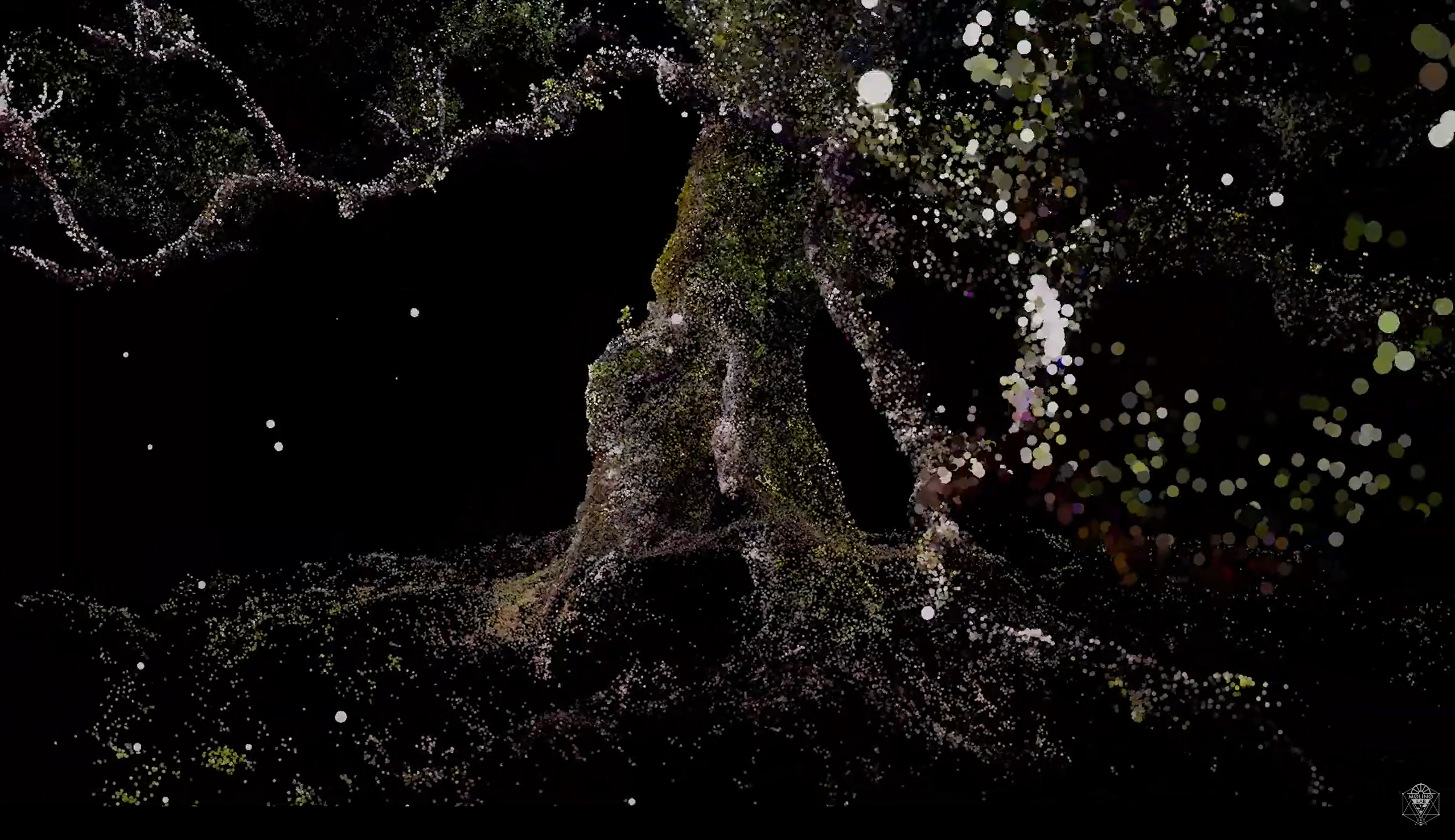 Tree visualization
